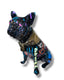 Richie Frenchie