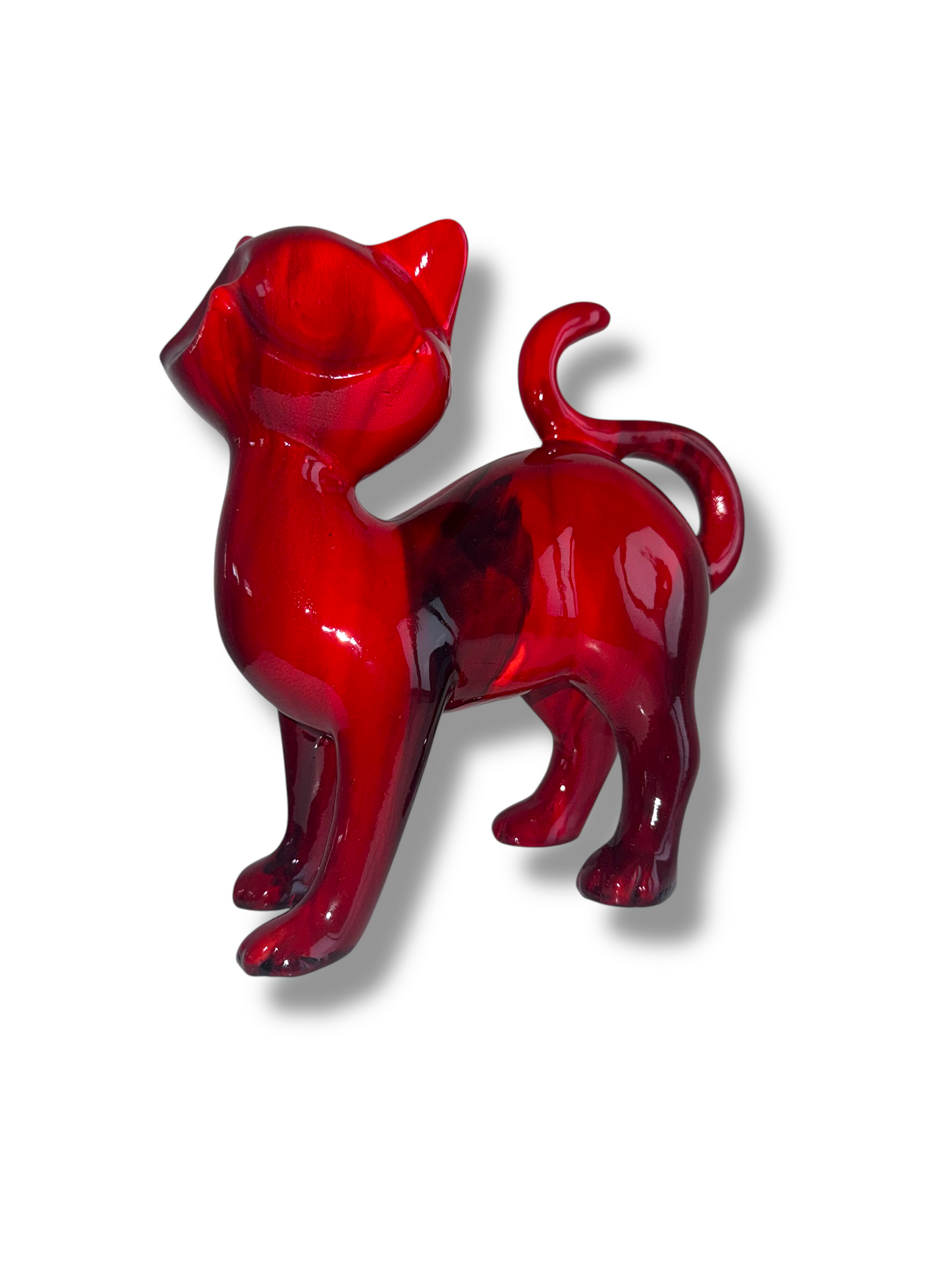 Foxy Red Cat