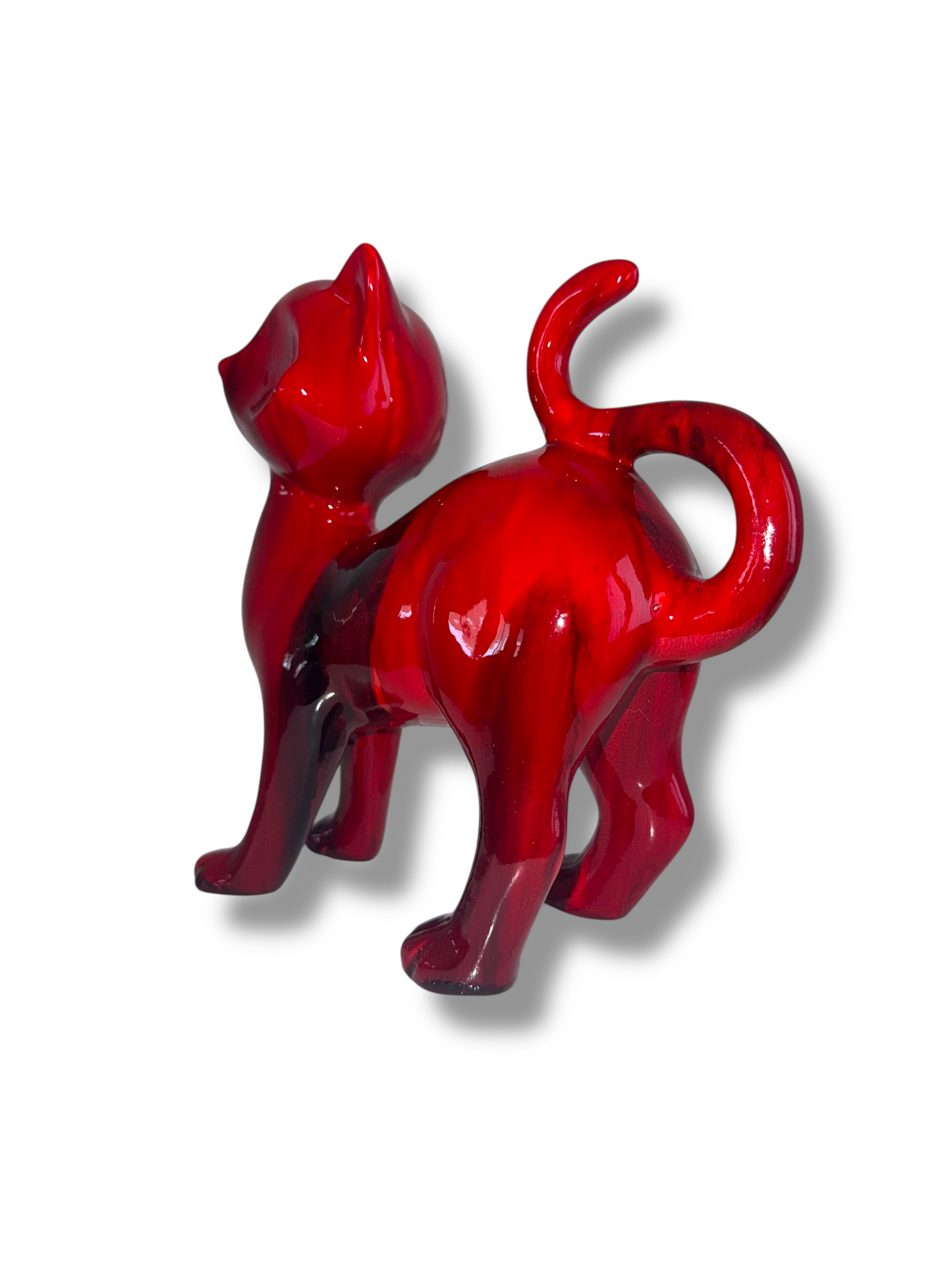 Foxy Red Cat