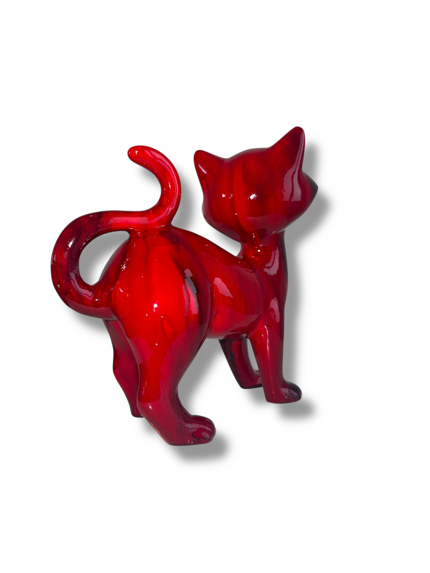 Foxy Red Cat