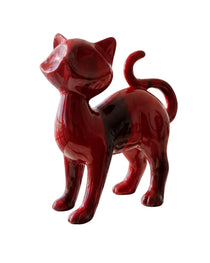 Foxy Cat