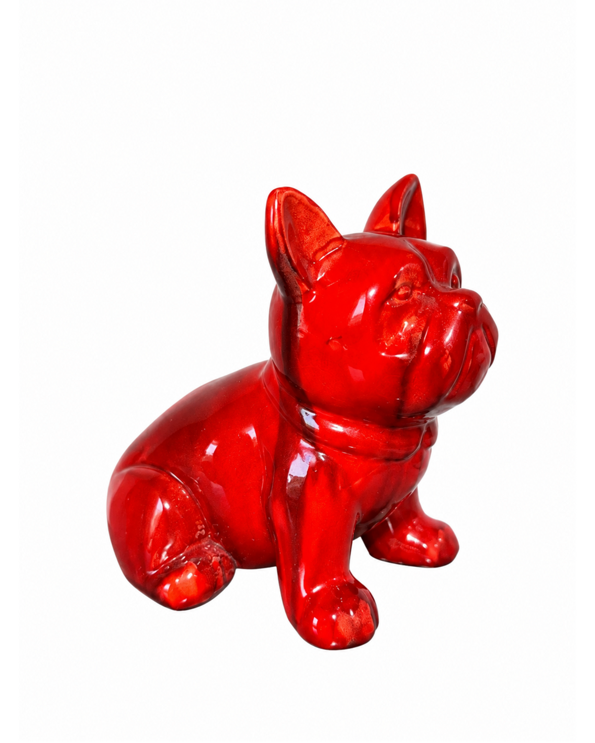 Frenchie Dog Main image